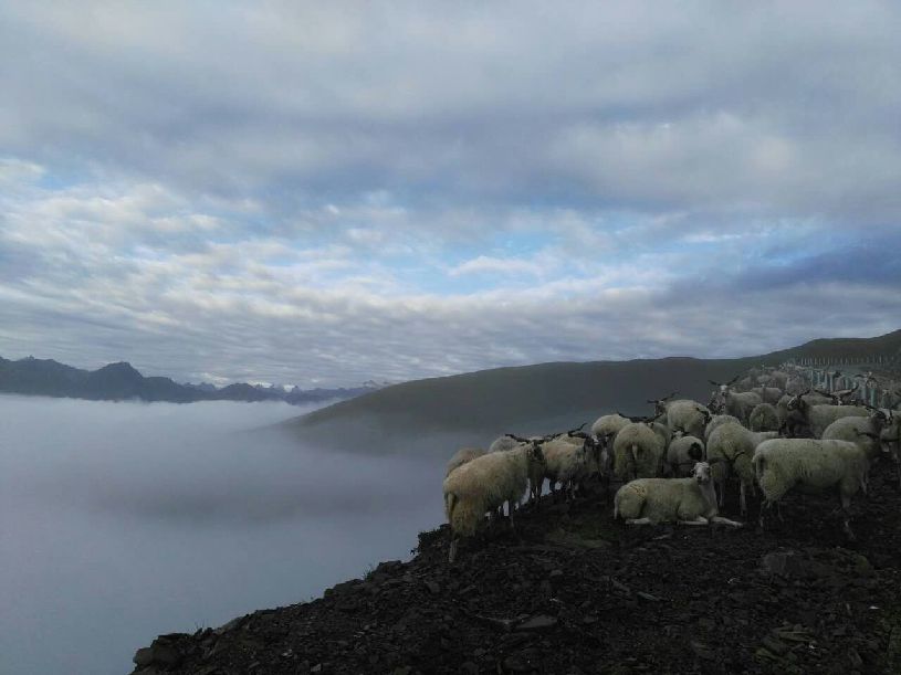 中国】达瓦更扎看云海不朽情缘模拟器【大美(图2)