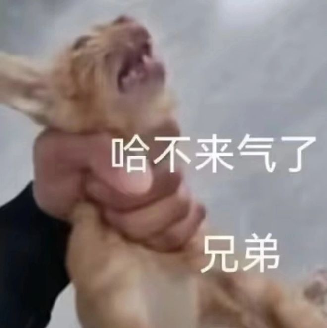 的大罪人监狱都被民间礼物塞满了…不朽情缘