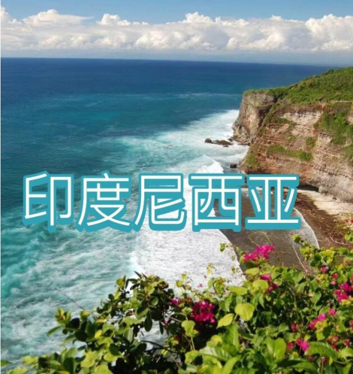 国国际电商(印尼)产业博览会不朽情缘试玩网站2025中(图3)