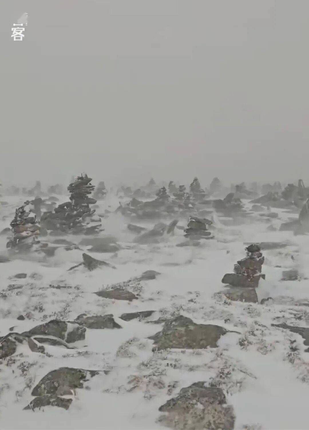 命鳌太线见过最残忍的死法mg不朽情缘网站我在夺(图6)